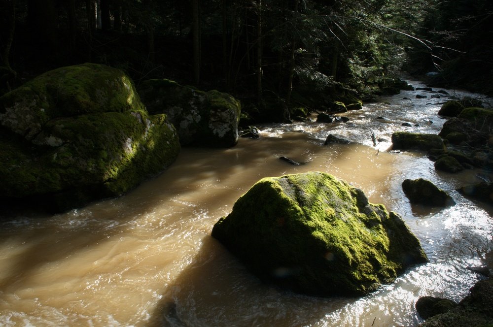 Photo Xavier Pagès